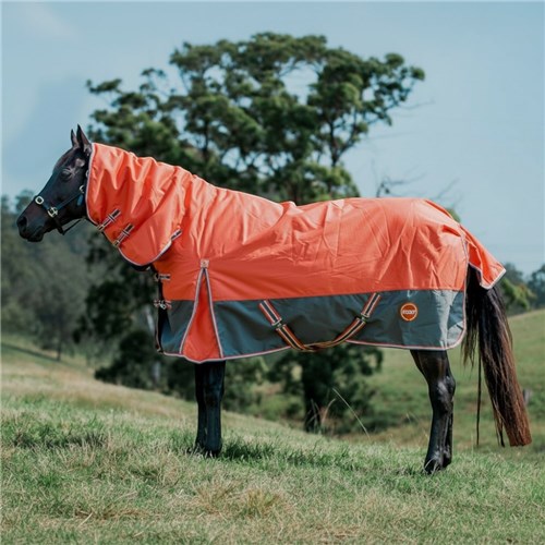 RUG5820 COGY-04
